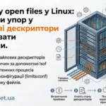 файлові дескриптори